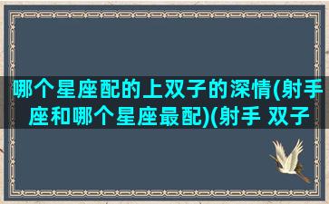 哪个星座配的上双子的深情(射手座和哪个星座最配)(射手 双子 史上最合拍)